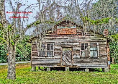 Low Country Long Gone White Oak