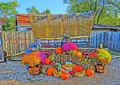 Fall, Flowers, Old Stuff & Bob’s Pumpkin Crack