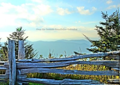 Split Rail Vision From the Top