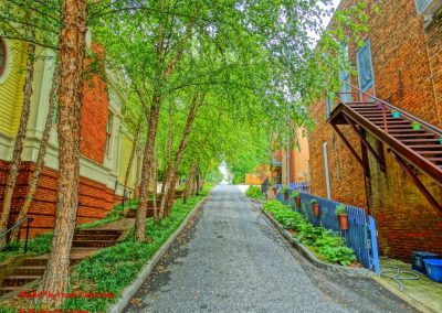 Steep Step Street